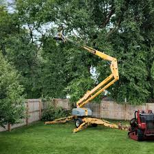 Best Emergency Tree Removal  in Oakdale, LA